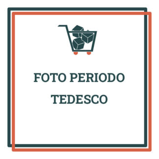 Foto periodo tedesco